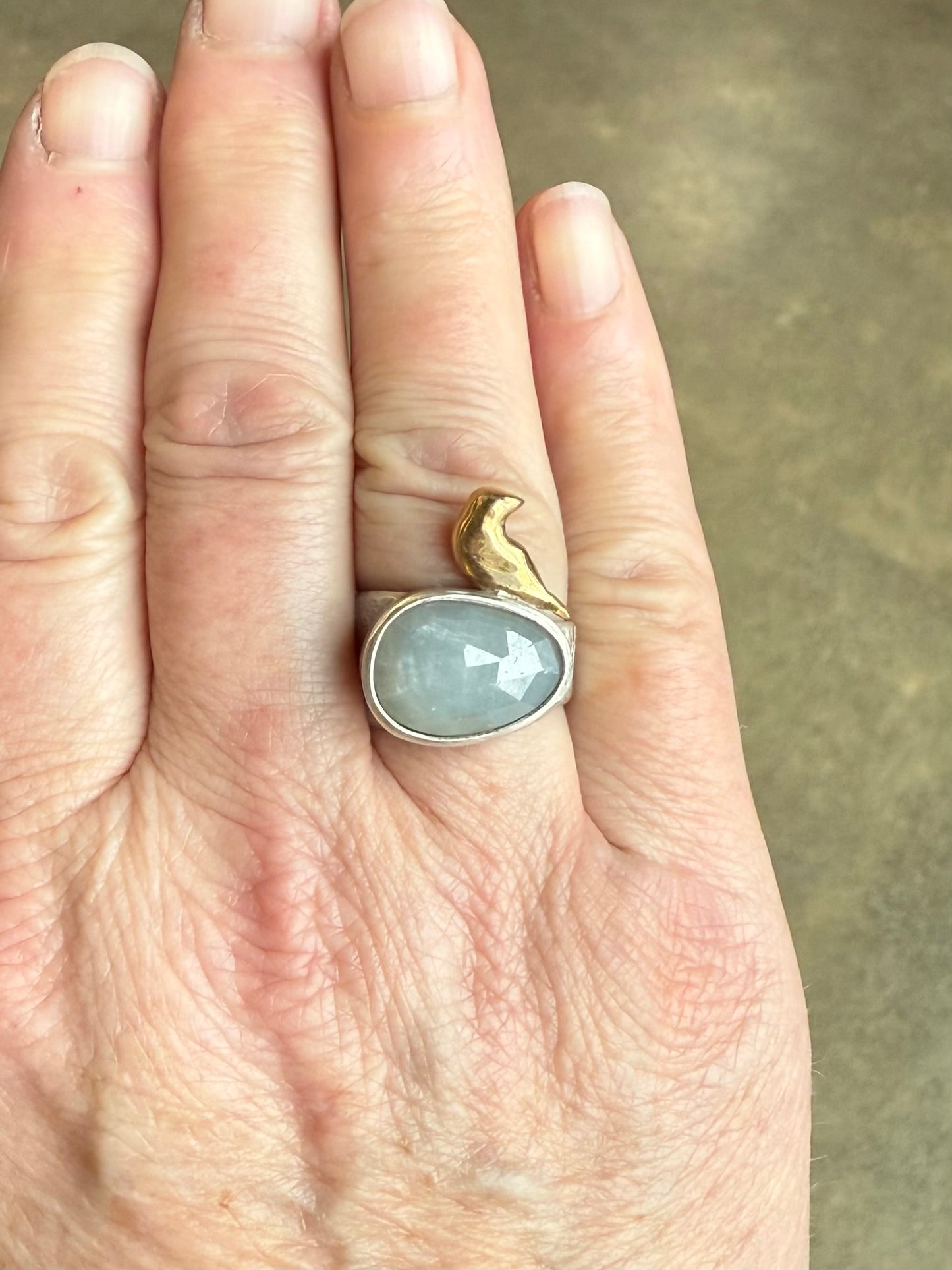 Silver Sapphire Bird